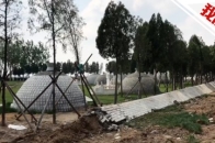 ��ʨ���³����Ԫ��������������ֳ�������ʯ�ޱ����