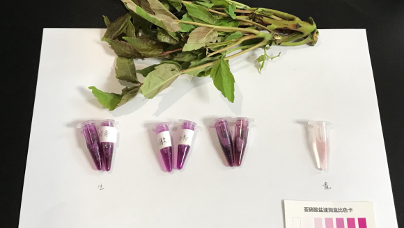 ��ͼtop�񣺰�֢������15Ԫ2Сʱ �㴻զ���ˡ���ҩ����