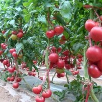 云豫风彩广场舞鬼步舞 最近很火的一首歌