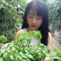 每天一首好歌·车站曹磊