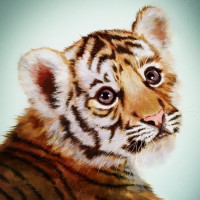 乌鸦和鹦鹉智商大比拼,不知道哪个更胜一筹呢