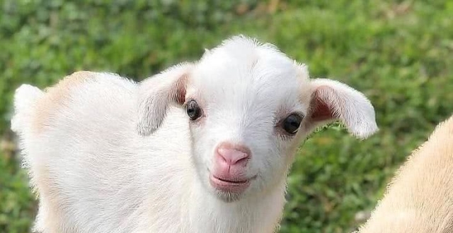 趣趣之心最新文章