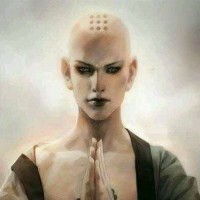 旭正集团东方福娃、旭娃系列保健贴 | 一周市场