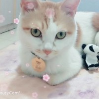 大闹深情演唱《大花轿·酒馆》,我已经忘了原