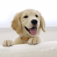 《当我唱起这首歌》感人MV,感动了很多人!