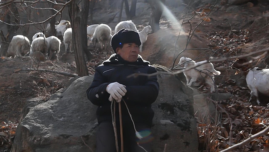 牧羊人的宿命到底是什么?