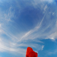 美女被绑住双手吊起来,不料她竟会这招,轻松脱