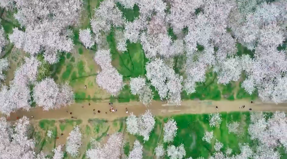 贵州,平坝,红枫湖畔