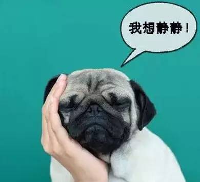 成语什么笑皆非_成语故事图片(2)