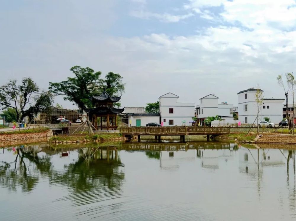 8月14日看美丽乡村庆70华诞直播活动走进灵潭村