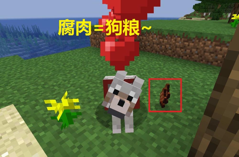 我的世界:腐肉怎么处理?萌新加牛奶吃掉 大佬不再杀牛!