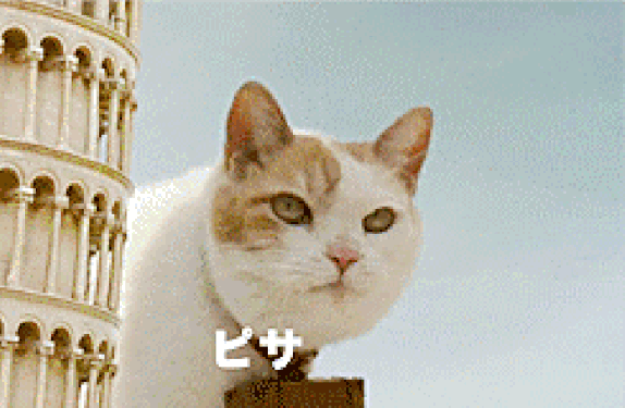 574_375gif 动态图 动图