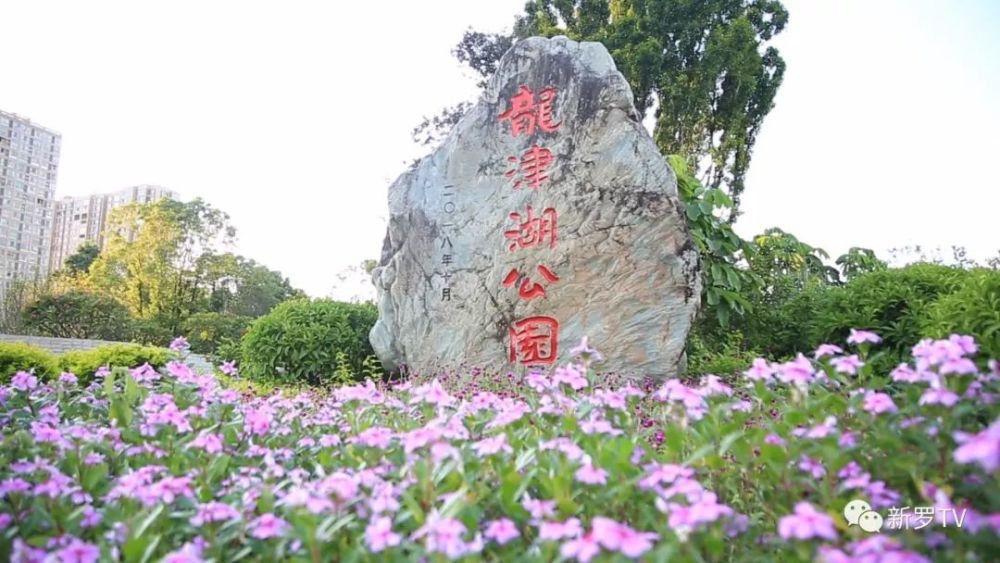 新罗:一座璀璨的"高颜值"城市