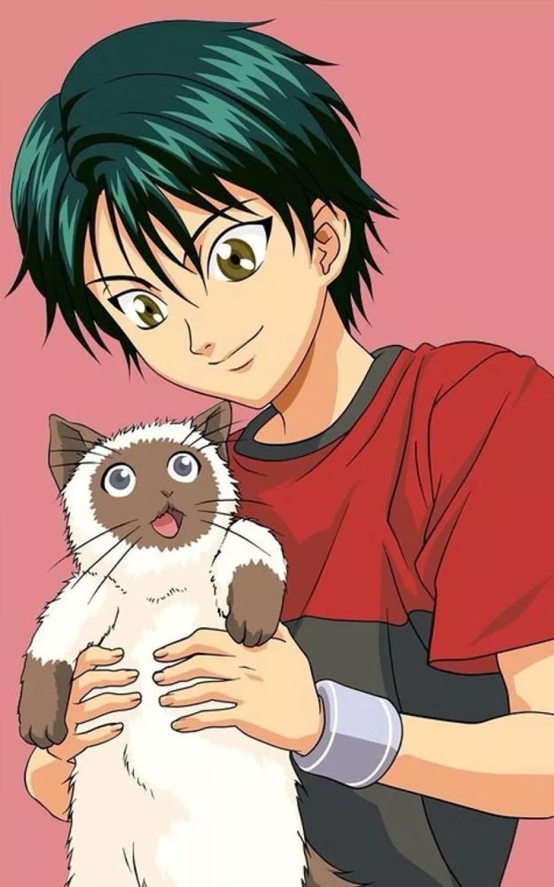 壁纸《网球王子》