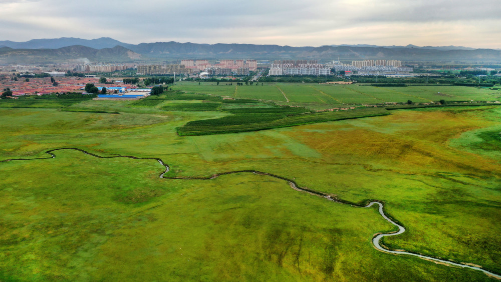 山西广灵湿地颐养塞上水城