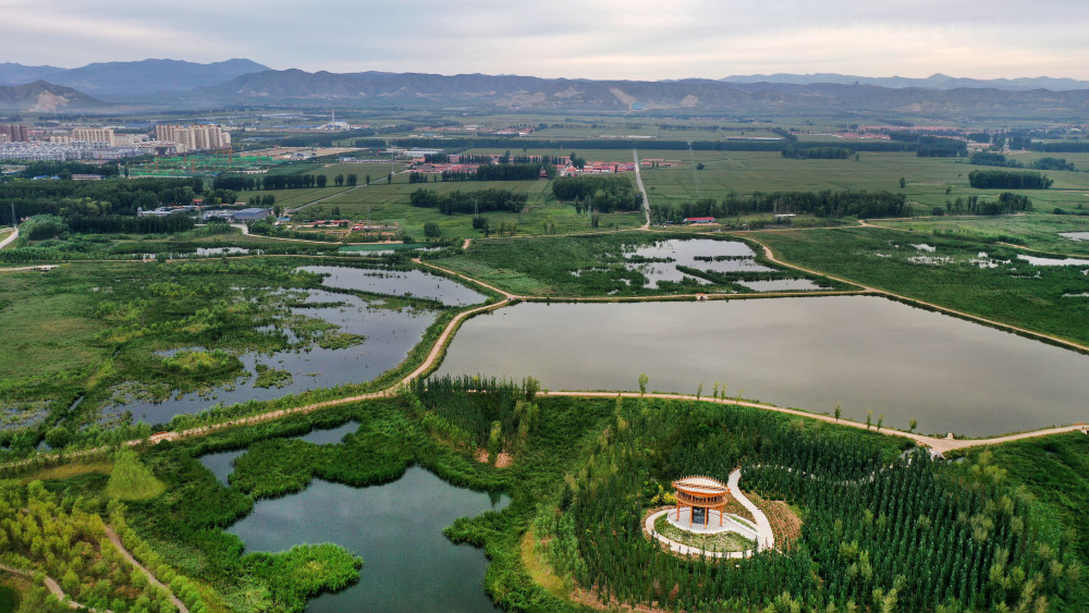 山西广灵湿地颐养塞上水城