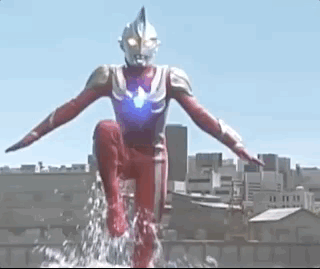 灭绝|因为死宅又不爱运动，这种生物终于把自己整灭绝了