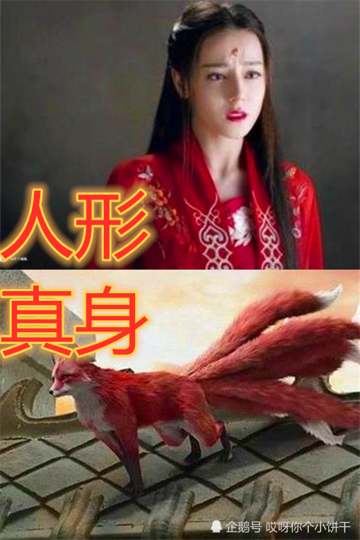 狐妖人形vs真身,妲己珍贵,白凤九稀有,当看到图4沦陷了!