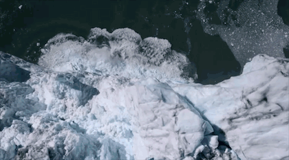 北极|短短不到三分钟，竟然把我看哭了