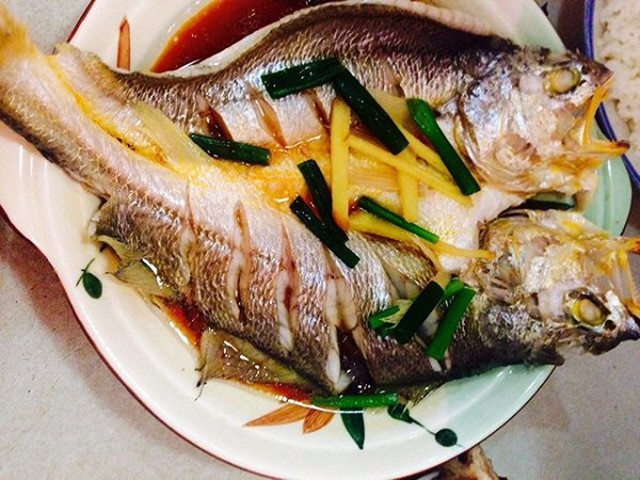 《本草纲目》都有这种鱼的条目,最稀罕的是"黄瓜母"