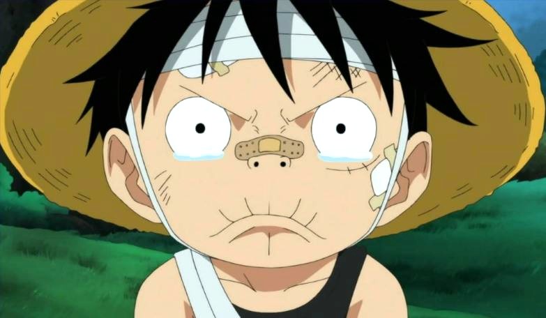 索隆对自己赏金毫无反应山治却异常开心路飞我只为笨蛋代言