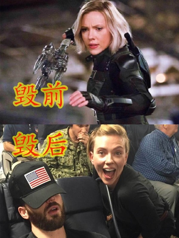 寡姐表情包-千图网