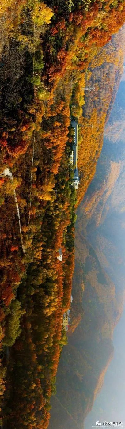 门头沟|安排！半个月后门头沟将变成北京最美丽的地方！