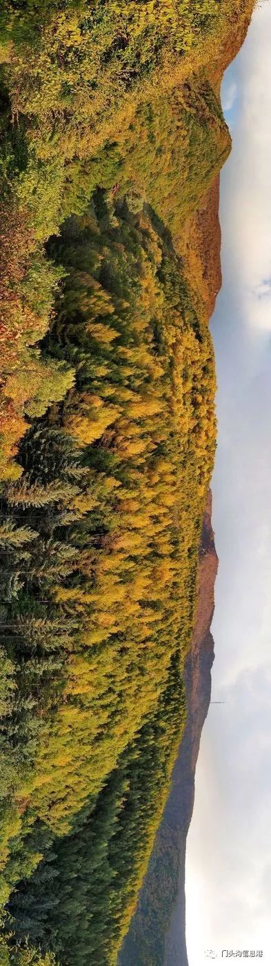 门头沟|安排！半个月后门头沟将变成北京最美丽的地方！