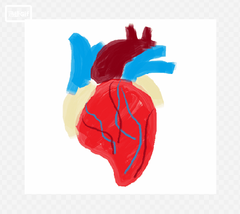 心脏血液流动动图图片