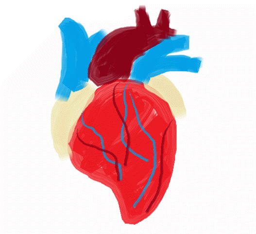 心脏跳得厉害是房颤易致中风千万国人都有的疾病你还不知道