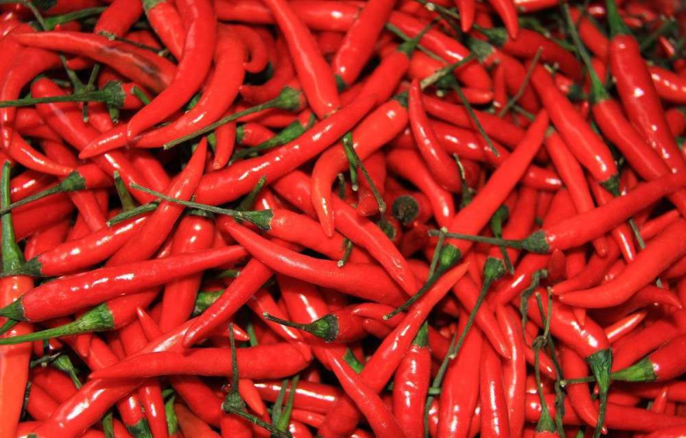 吃完川菜就拉肚子,你知道问题出在哪里了吗?