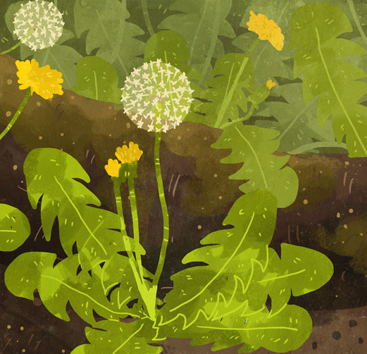 北京和灰尘|他的身边环绕春天的幽暗陈述