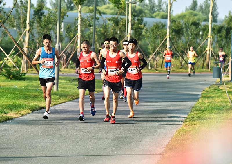 2019雄安马拉松精彩瞬间‖高清图抢先看