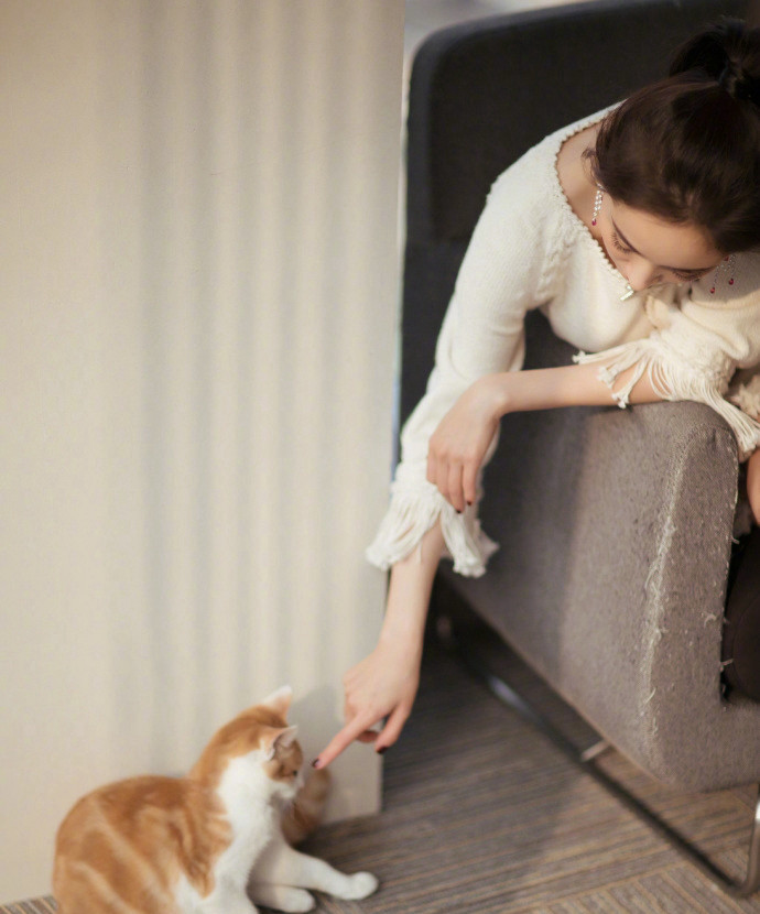 杨幂怀抱猫咪爱不释手,外表干净利落!