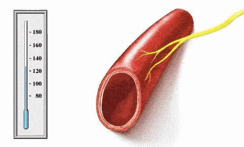 血压,却没注意到夜间血压的波动,然而这种忽视很可能让心血管遭遇偷袭