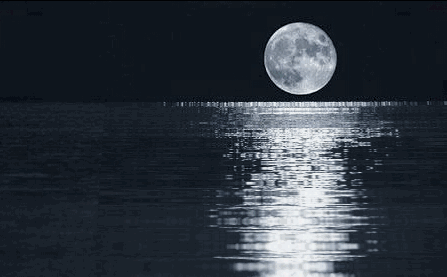 447_277gif 动态图 动图