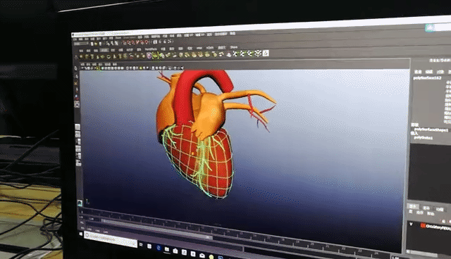 制作心脏射血模型动画制作软件—ue4制作核心成员:苏高峰,曹振强后期
