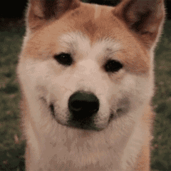 赛思年度分享会