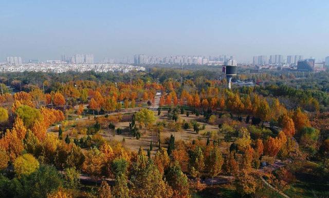 山東最貧困城市,經濟不如棗莊和日照出色,而是這座比較有名城市