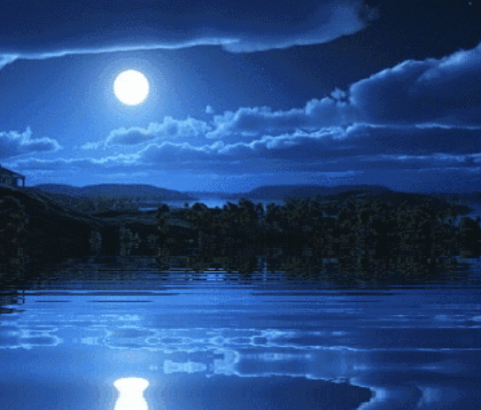 《明月千里寄相思》小提琴|中秋节愉快!