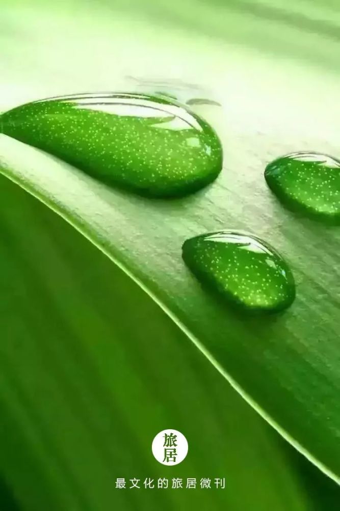 高清微信护眼图选1张当聊天背景图吧