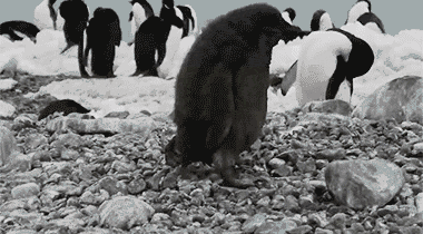 搞笑趣图别跟我整这些没用的还不是被我一下就撂倒了