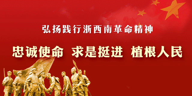 丽水人口_丽水市“三个有质量”做好人口调查摸底工作
