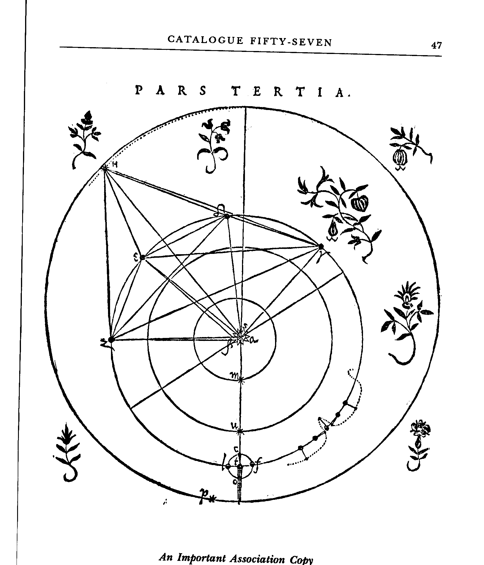 金星和地球在跳华尔兹 科学家们观察轨迹 竟然发现了五角星