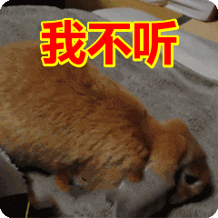 腾讯内容开放平台