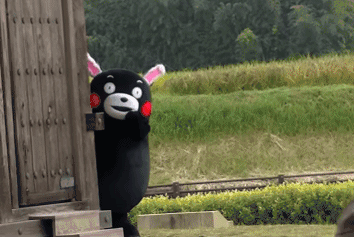 354_237gif 动态图 动图