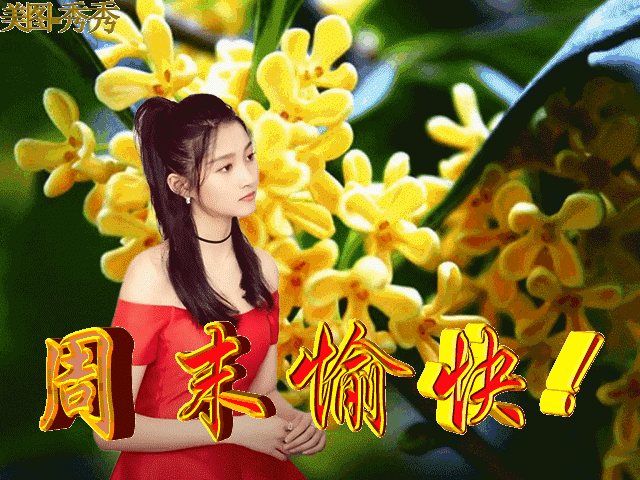 秋季晚上好精美动态图片,非常漂亮的美女早上好动态表情图片 早晨好