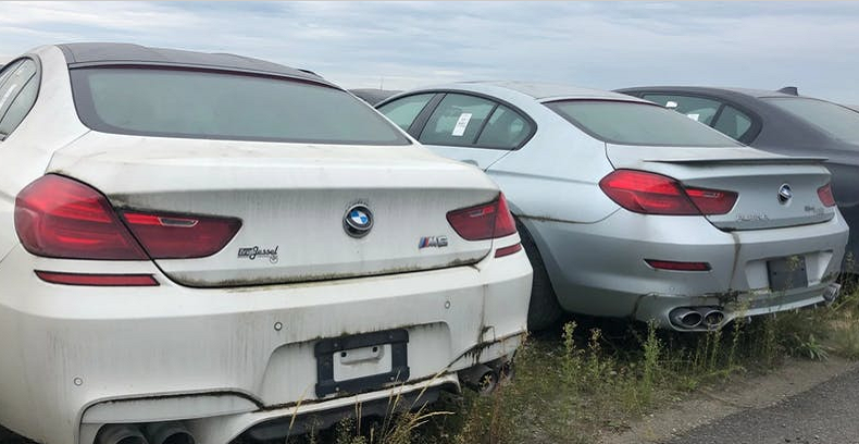 泡水车,宝马_汽车品牌,车主,青苔,豪车