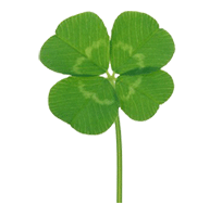 垃圾分类|垃圾分类说明书！这些知识你门儿清了吗？