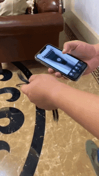 200_356gif 动态图 动图